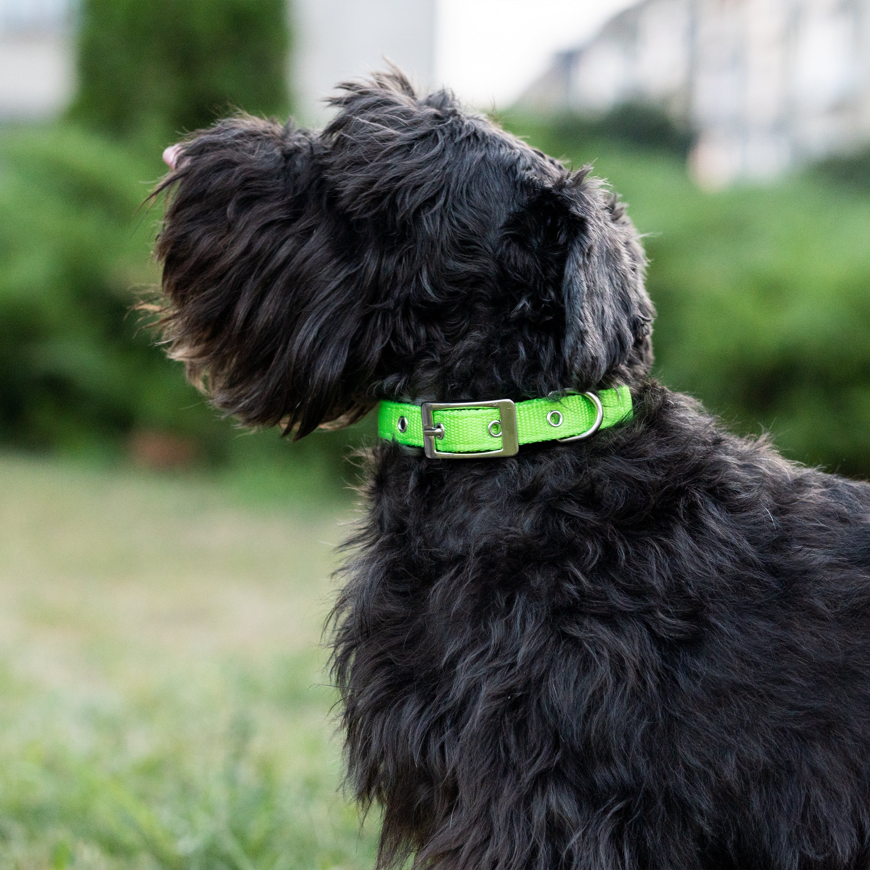 Product image 60